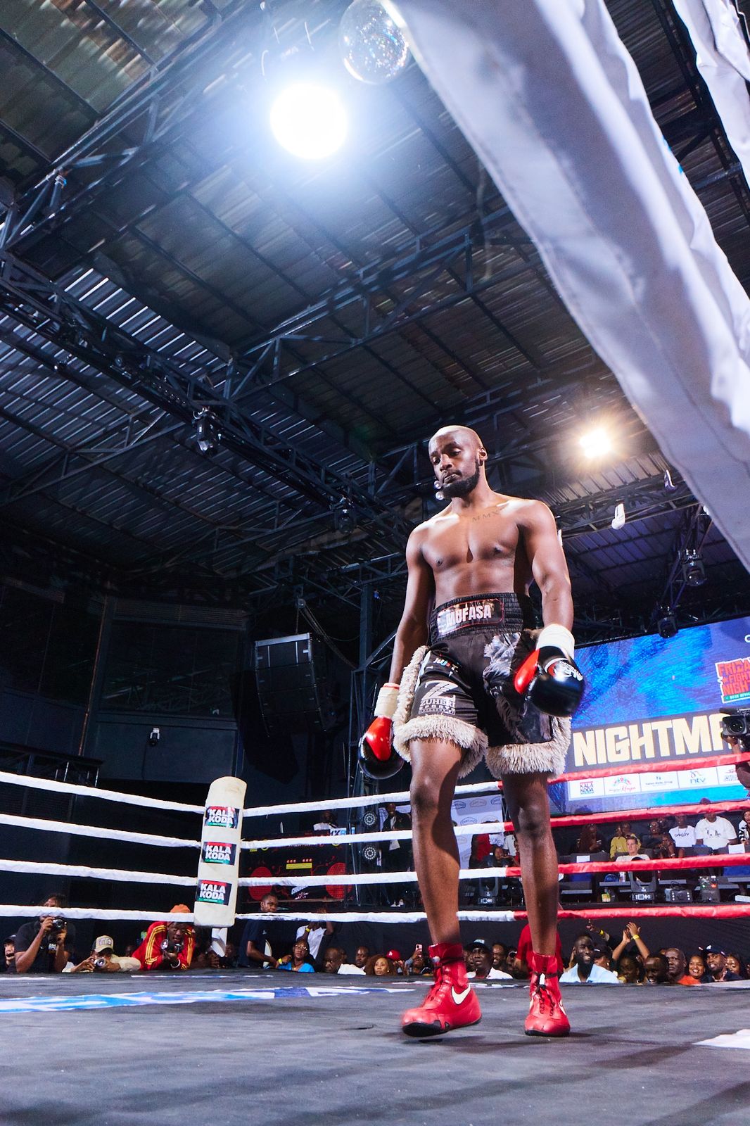 MUFASA WINS AGAIN BY TKO - 4 - 1